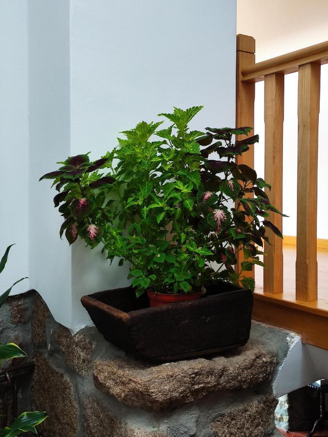Zimao Garden House 호텔 빌라 푸카 데 아기아르 외부 사진